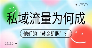 为何私域流量成为他们的“黄金矿脉”？