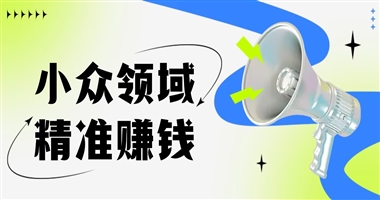 小众领域不内卷，知识付费精准赚钱：拒绝盲目转化，深耕价值变现